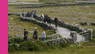 Lámhleabhar an Léinn Éireannaigh